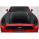 2015-2017 Ford Mustang TS 1 Hood - 1 Piece (S) - image 1