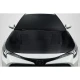 2019-2023 Toyota Corolla Velocity Carbon Fiber Hood - image 1