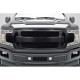 2018-2020 Ford F-150 Carbon Creations Rocky Grille - 1 Piece - image 1