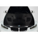2008-2013 BMW M3 E92 E93 Iceman Hood - 1 Piece - image 1
