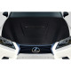 2013-2020 Lexus GS Series G200 GS300 GS350 GS450 GS450H Carbon Creations Alpine Hood - 2 Pieces - image 1