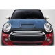 2014-2024 MINI Cooper Racer Carbon Fiber Hood - image 1