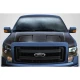 2009-2014 Ford F150 Ram Air Carbon Fiber Hood - image 1