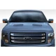 2009-2014 Ford F150 Ram Air Hood - image 1