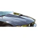 2005-2009 Ford Mustang Spyder 3 Hood - image 1