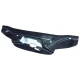 Carbon Fiber GDEF Radiator Cooling Panel > Nissan Silvia (S15) 1999-2002 - image 1
