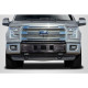 2015-2020 Ford F-150 BSZ Front Bumper Grille - 1 Piece (S) - image 1