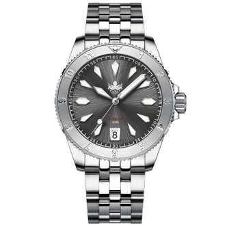 Japanese Automatic SII NH35/38