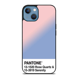 COLOR PANTONE ROSE QUARTZ AND SERENITY iPhone 13 Case Cover