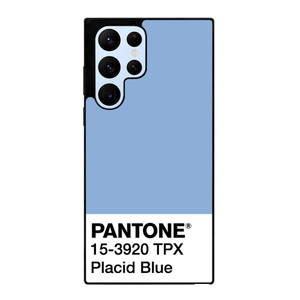 COLOR PANTONE PLACID BLUE Samsung Galaxy S22 Ultra Case Cover COLOR PANTONE PLACID BLUE Samsung Galaxy S22 Ultra Case Cover