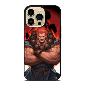 AKUMA GOUKI STREET FIGHTER ART iPhone 14 Pro Max Case Cover