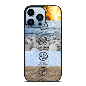 DIVERGENT AMITY iPhone 13 Pro Max Case Cover DIVERGENT AMITY iPhone 13 Pro Max Case Cover