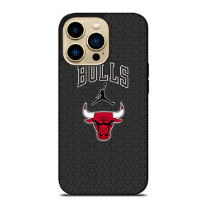 CHICAGO BULLS AIR JORDAN BASKETBALL iPhone 14 Pro Max Case Cover