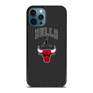 CHICAGO BULLS AIR JORDAN BASKETBALL iPhone 12 Pro Max Case Cover