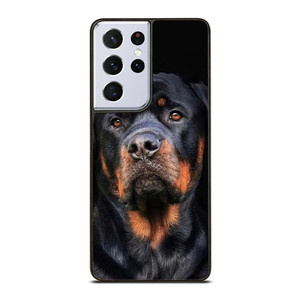 GIVENCHY ROTTWEILER DOG 2 GIVENCHY ROTTWEILER DOG 2