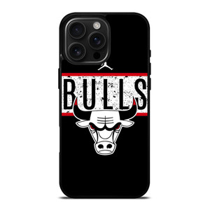 AIR JORDAN CHICAGO BULLS BASKETBALL iPhone 16 Pro Max Case Cover