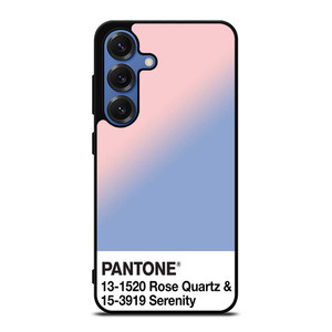 COLOR PANTONE ROSE QUARTZ AND SERENITY Samsung Galaxy S25 Case Cover