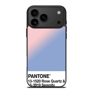 COLOR PANTONE ROSE QUARTZ AND SERENITY iPhone 17 Pro Max Case Cover