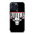 AIR JORDAN CHICAGO BULLS BASKETBALL iPhone 15 Pro Max Case Cover