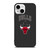 CHICAGO BULLS AIR JORDAN BASKETBALL iPhone 13 Mini Case Cover