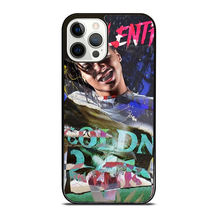 24KGOLDN VALENTINO ART iPhone 12 Pro Case Cover