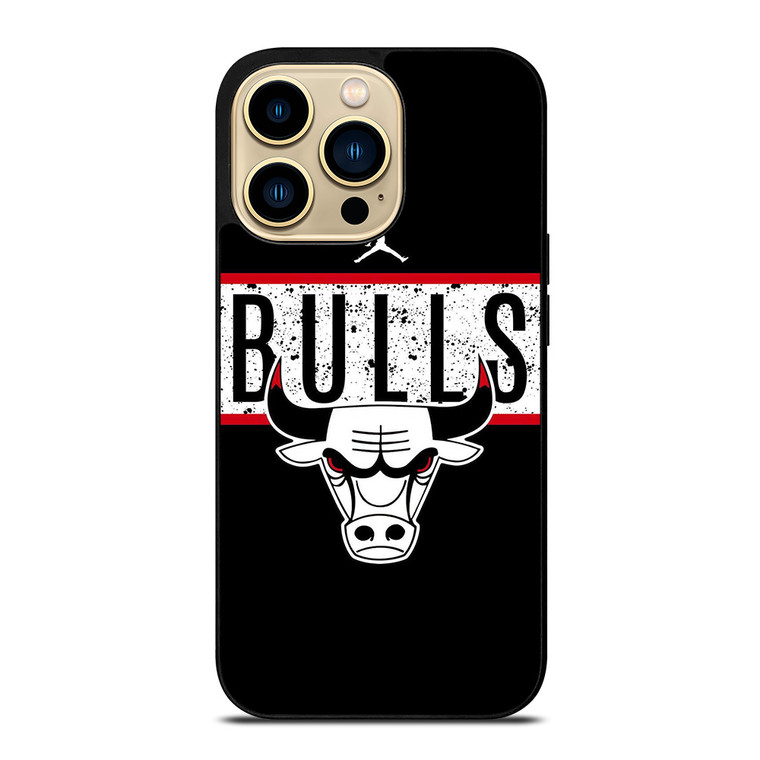 AIR JORDAN CHICAGO BULLS BASKETBALL iPhone 14 Pro Max Case Cover