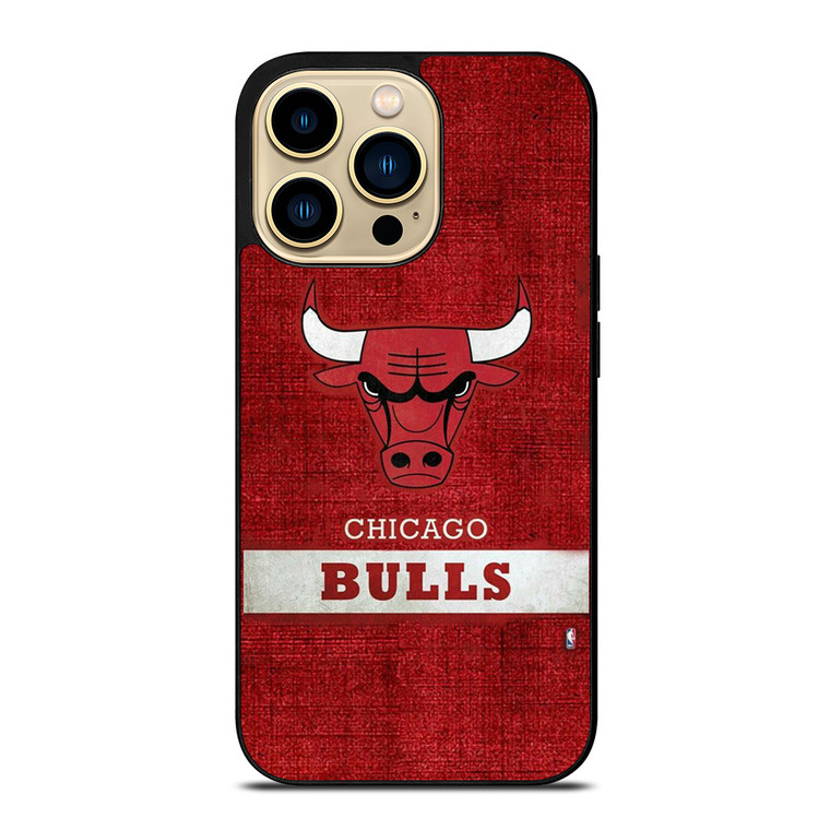 CHICAGO BULLS BASKETBALL TEAM LOGO iPhone 14 Pro Max Case Cover