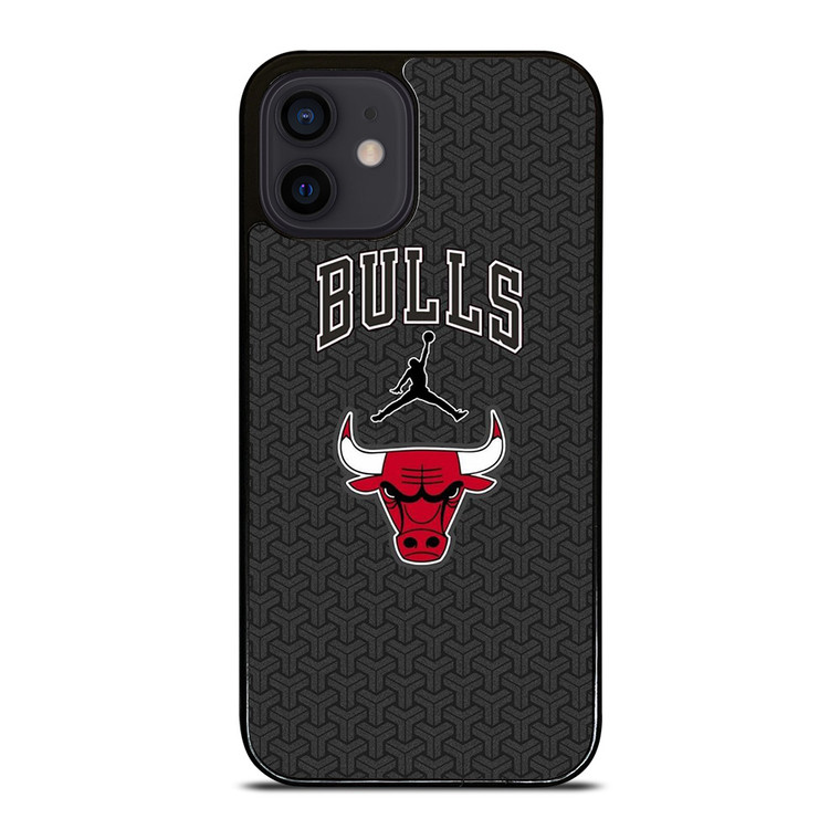 CHICAGO BULLS AIR JORDAN BASKETBALL iPhone 12 Mini Case Cover