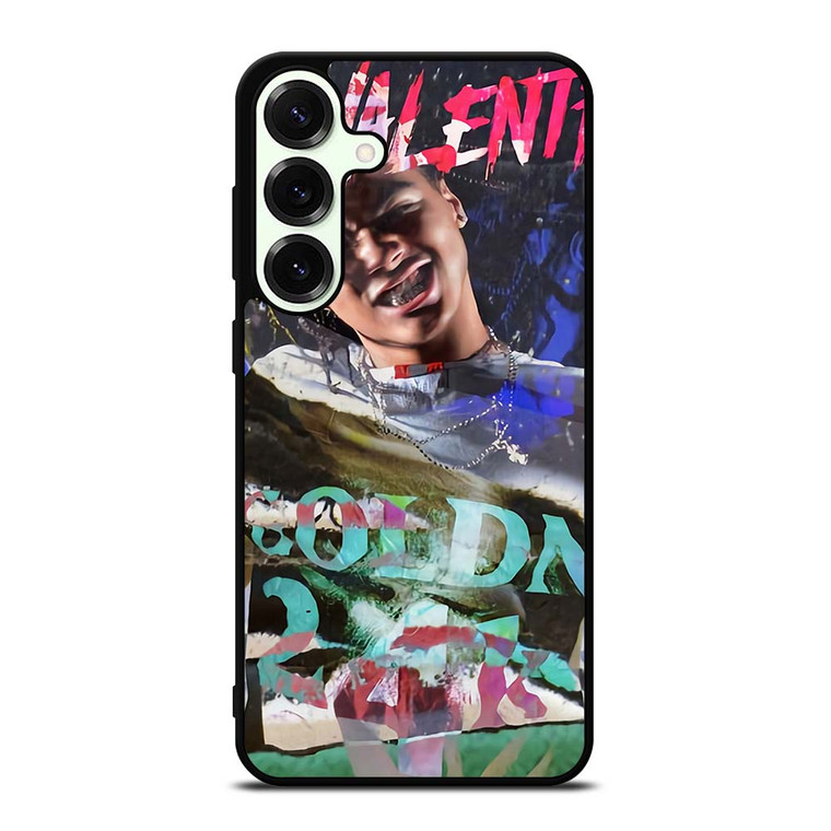 24KGOLDN VALENTINO ART Samsung Galaxy S25 Plus Case Cover
