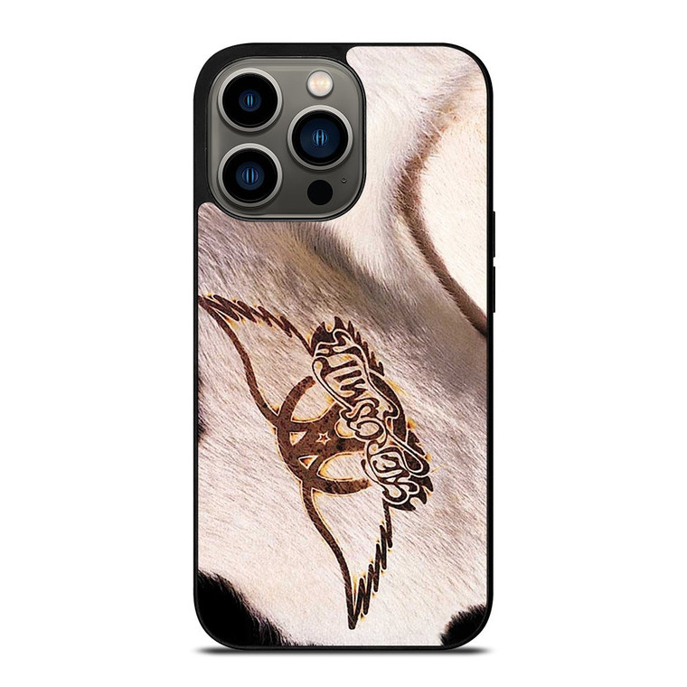 AEROSMITH GET A GRIP iPhone 13 Pro Case Cover