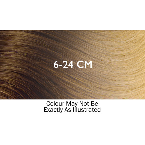 HOTHEADS 18-20" PREMIUM BODY WAVE TAPE IN EXTENSIONS - #6/24 CM