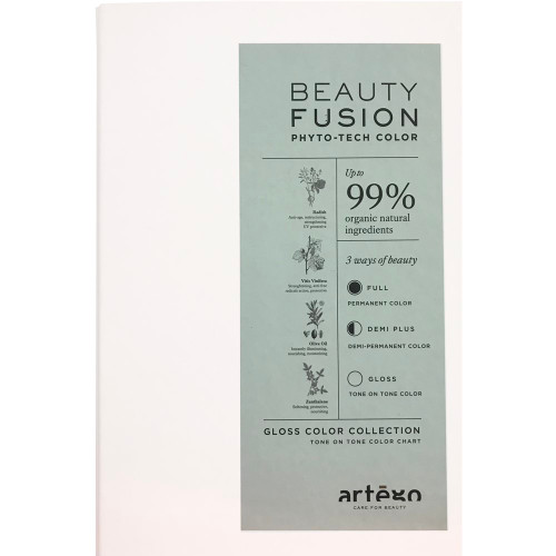 ARTEGO BEAUTY FUSION GLOSS COLOR CHART