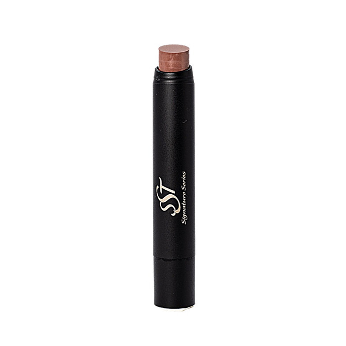 SST DEMI MATTE LIPSTICK- SUBDUED