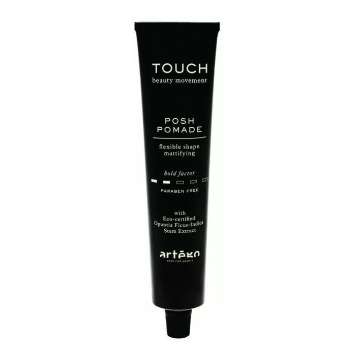 ARTEGO TOUCH POSH POMADE 100ML