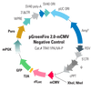 pGreenFire 2.0-mCMV negative control plasmid (pGF2-mCMV-rFluc-T2A-GFP-mPGK-Puro)