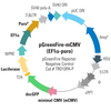 pGreenFire1-mCMV Virus (pTRH1 mCMV dscGFP T2A Fluc)