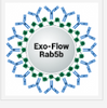 Rab5b Exo-Flow capture kit (Magnetic streptavidin beads, Rab5b-biotin capture antibody, Wash and Elution Buffers, Exo-FITC stain)