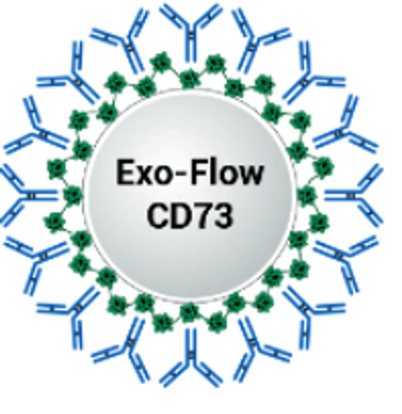 CD73 Exo-Flow capture kit (Magnetic streptavidin beads, CD73-biotin capture antibody, Wash and Elution Buffers, Exo-FITC stain)