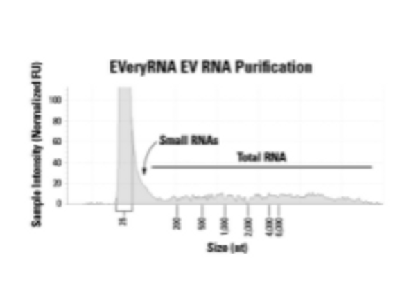 EVeryRNA™ EV RNA Purification System