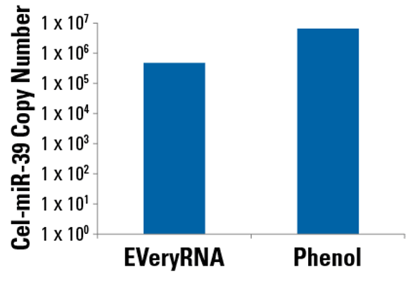 EVeryRNA™ EV RNA Purification System & cDNA Synthesis Kit (includes EVery100A-1 and EVery200A-1)