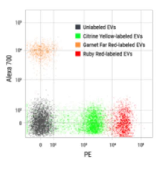 ExoFlow-ONE EV Labeling Kit for Flow Cytometry (Citrine Yellow)