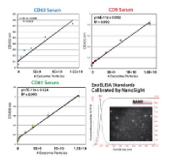 Exosome ELISA Complete Kit (CD81 detection)