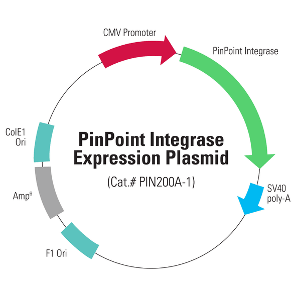 PinPoint Integrase Expression Plasmid