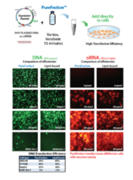 PureFection Transfection Reagent