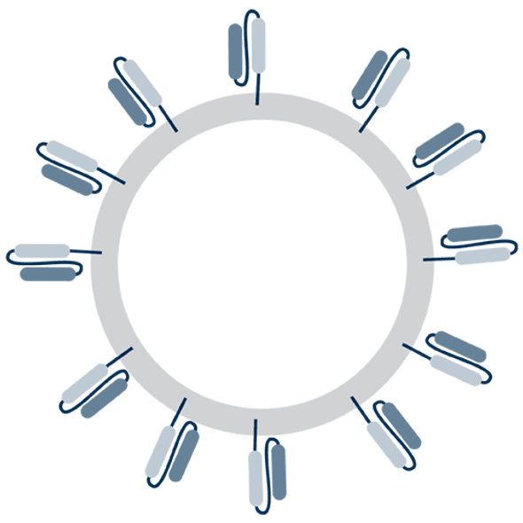 XStamp Pro anti-CD16 EV Targeting Kit