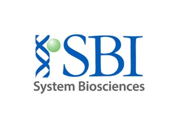 Human pre-microRNA Expression Construct Lenti-bacterial stock