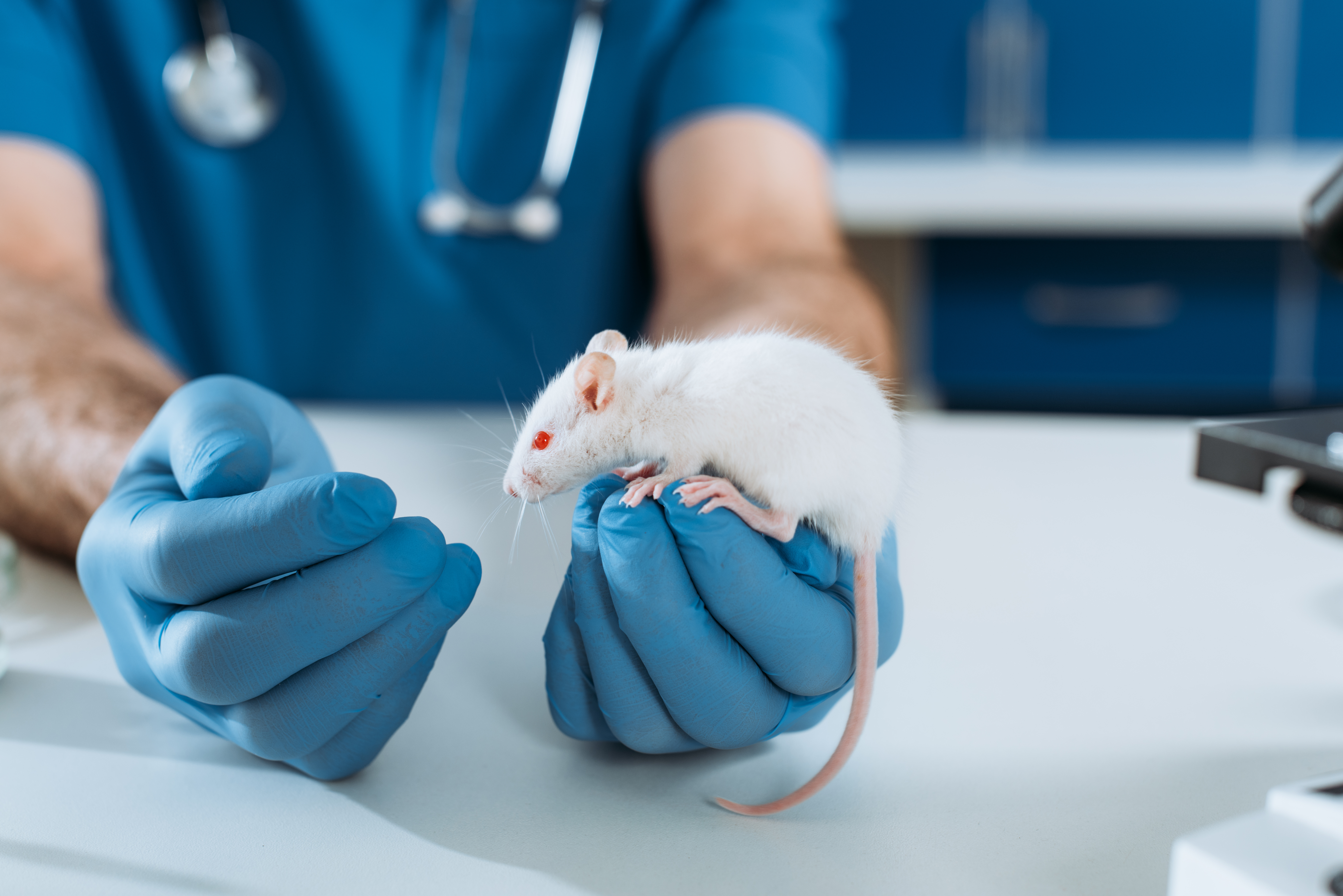 cropped-view-of-veterinarian-in-latex-gloves-exami-2022-06-23-15-07-32-utc-1-.jpg