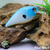 Blueback
