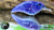 Junebug Blue