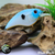Blueback